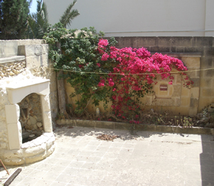 Property in MALTA